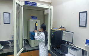 Mercury Intrusion Porosimetry Test