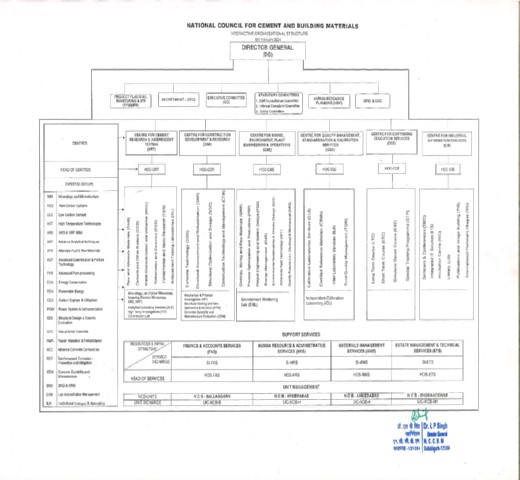 Organization Structure