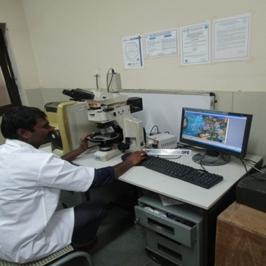Optical Microscope