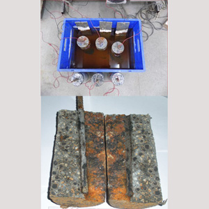 Accelerated Chloride Induced Corrosion Studies