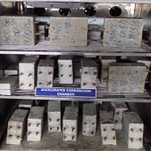 Accelerated Carbonation Induced Corrosion Studies